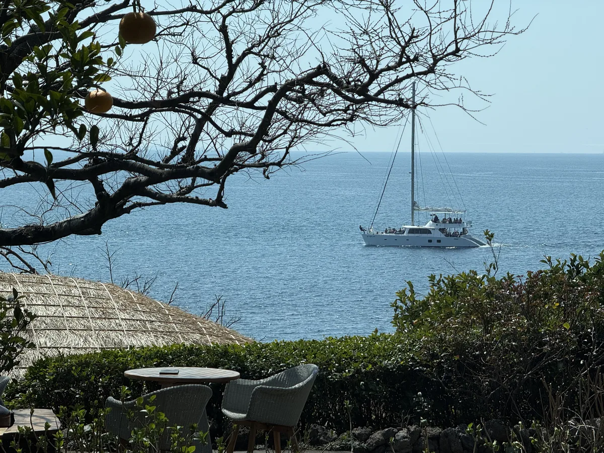 A well-composed real photograph taken with GudoCam